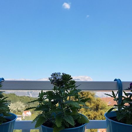 Apartman Lucija Korčula Zewnętrze zdjęcie
