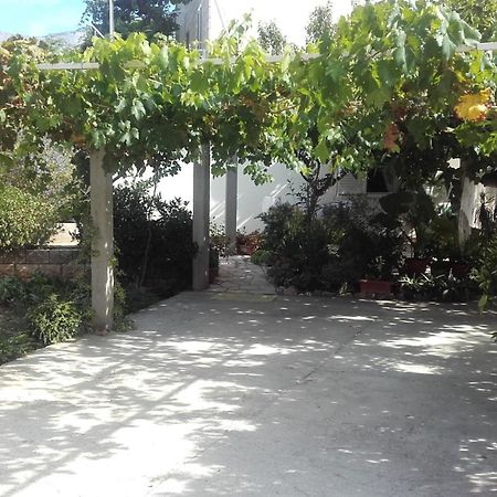 Apartman Lucija Korčula Zewnętrze zdjęcie