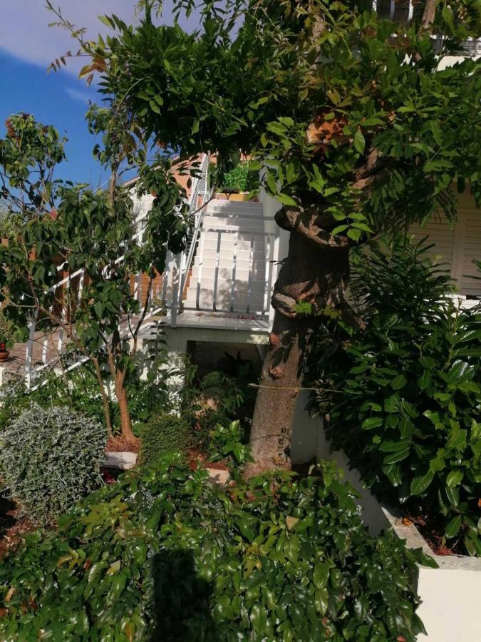 Apartman Lucija Korčula Zewnętrze zdjęcie
