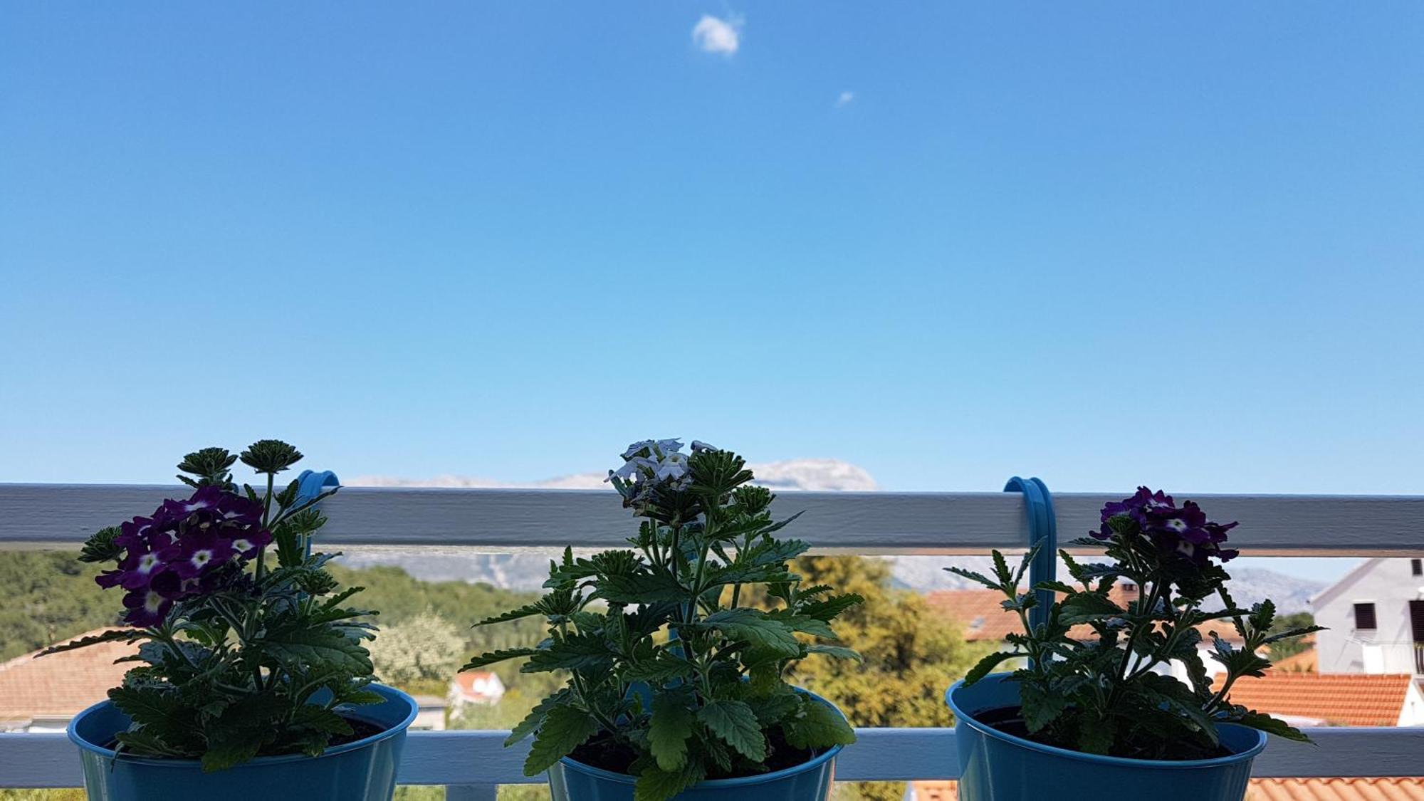 Apartman Lucija Korčula Zewnętrze zdjęcie
