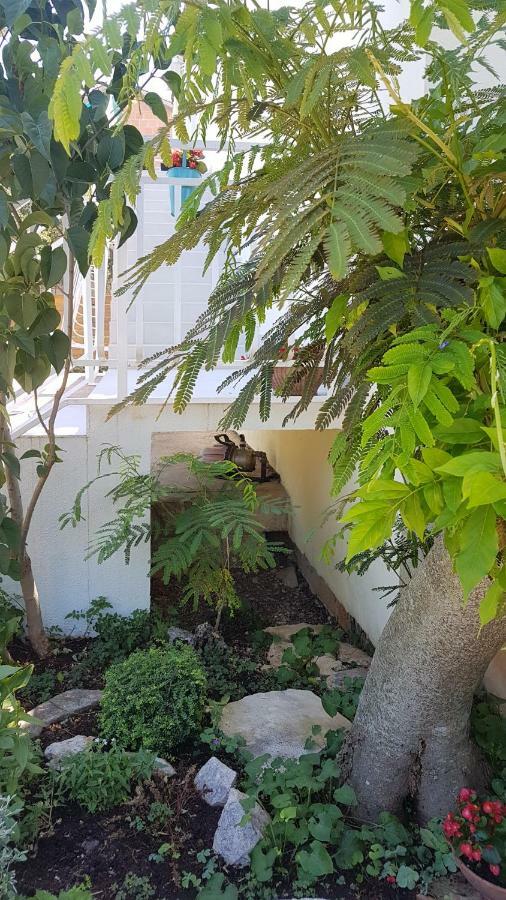 Apartman Lucija Korčula Zewnętrze zdjęcie