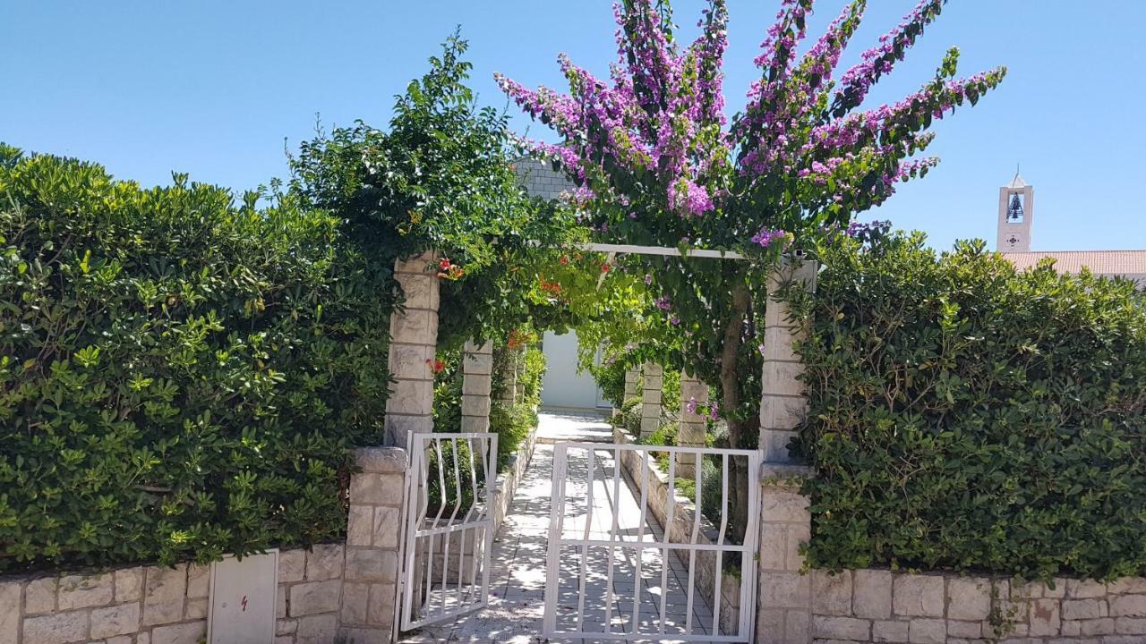 Apartman Lucija Korčula Zewnętrze zdjęcie