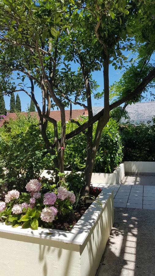 Apartman Lucija Korčula Zewnętrze zdjęcie
