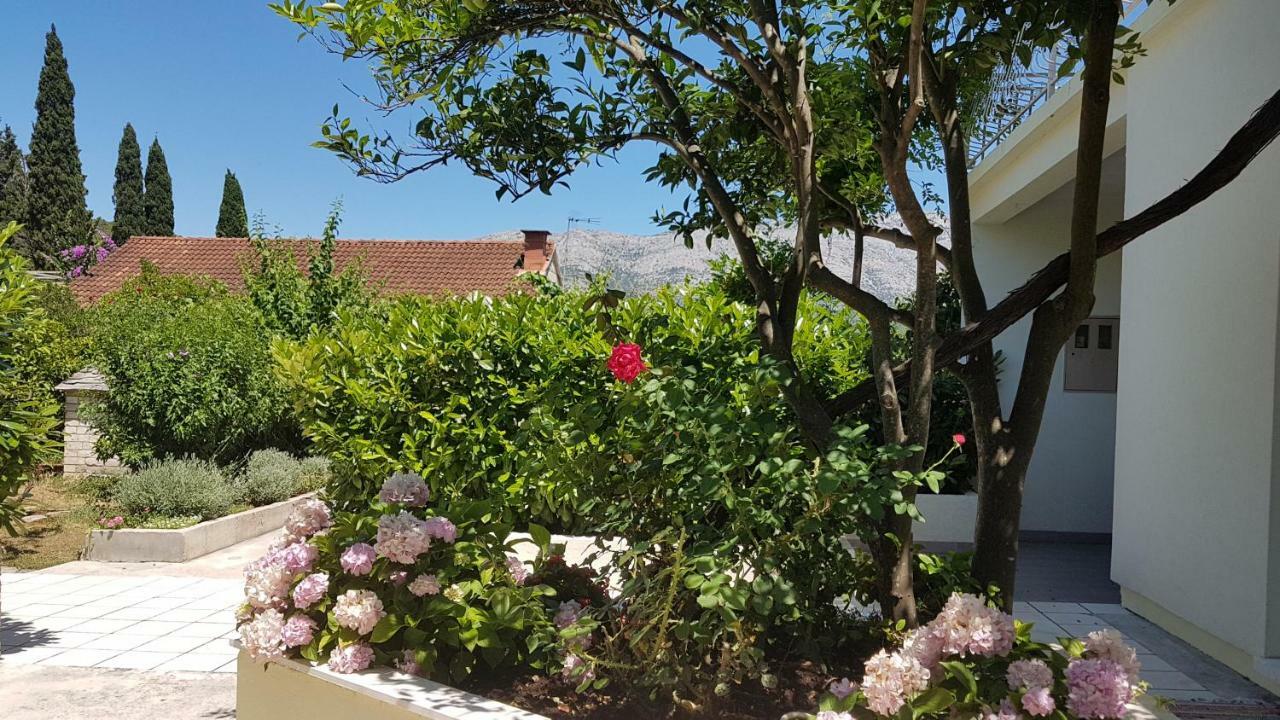 Apartman Lucija Korčula Zewnętrze zdjęcie
